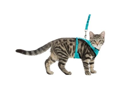 Soft mesh Y-harness with elastic leash for cat XL 39-60cm / 1.00m