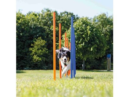 AGILITY Slalom, poles 12 pcs