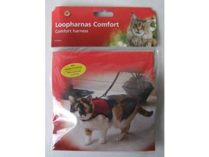 Harness-vest, bell, leash