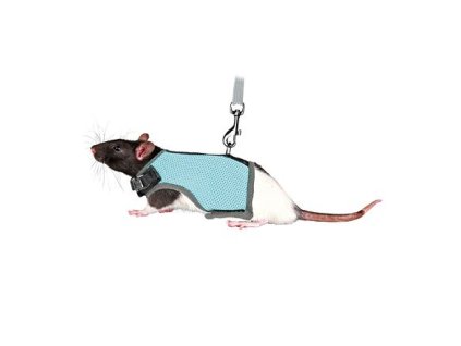 VESTA harness with leash for a 12-18cm/1.2m rat