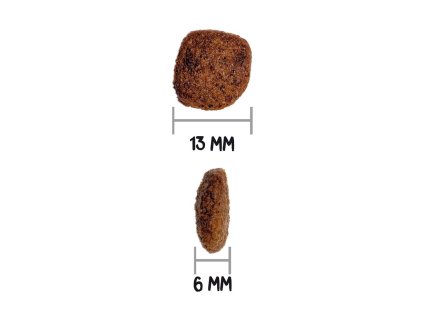 10055 granule