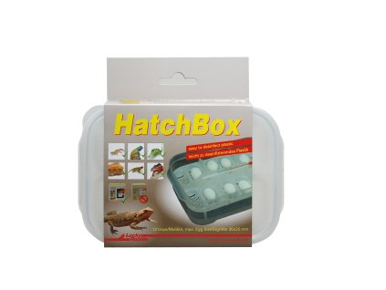 Výprodej - Lucky Reptile HatchBox 17x11 cm