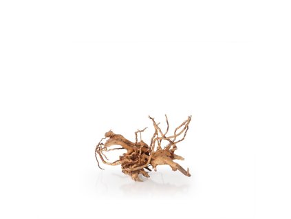Výprodej - Spider Wood S, 20-30cm