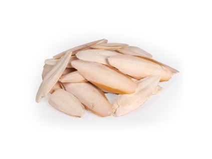Sépiová kost, 1kg