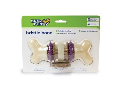 Bristle Bone M 0307202410300630261