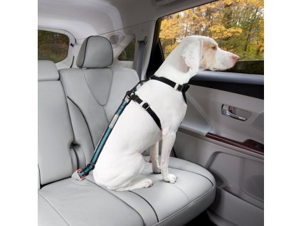 Bezpecnostni autopas pro psa s upinacim mechanismem Kurgo Direct to Seatbelt Tether coastal blue 1806202516300696966