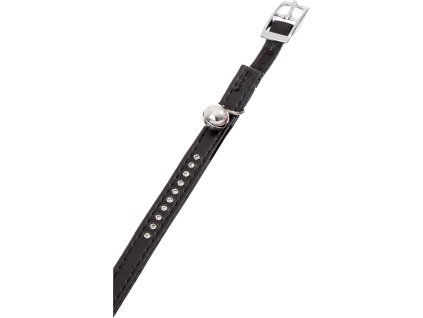 Flamingo Obojek pro psy ALP s rolnickou Monte Carlo cerny 30x1cm 0110201915441273507