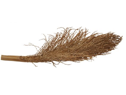 Lucky Reptile Palm Torch 30 40 cm 0703202518302044479