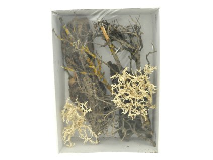 Lucky Reptile Deco Set Desert 2305202514303522477