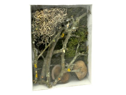 Lucky Reptile Deco Set Jungle 2305202514303546300