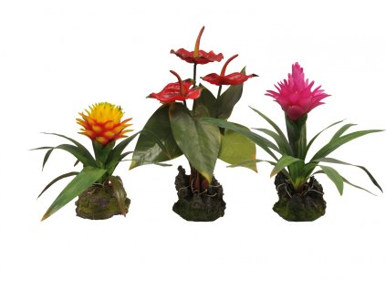 Lucky Reptile Jungle Plants blühende Bromelie 3 Blüten - rot ca. 40 cm