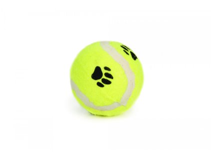 BZ TENNIS BALL YELLOW 6 5 2402202111423918806