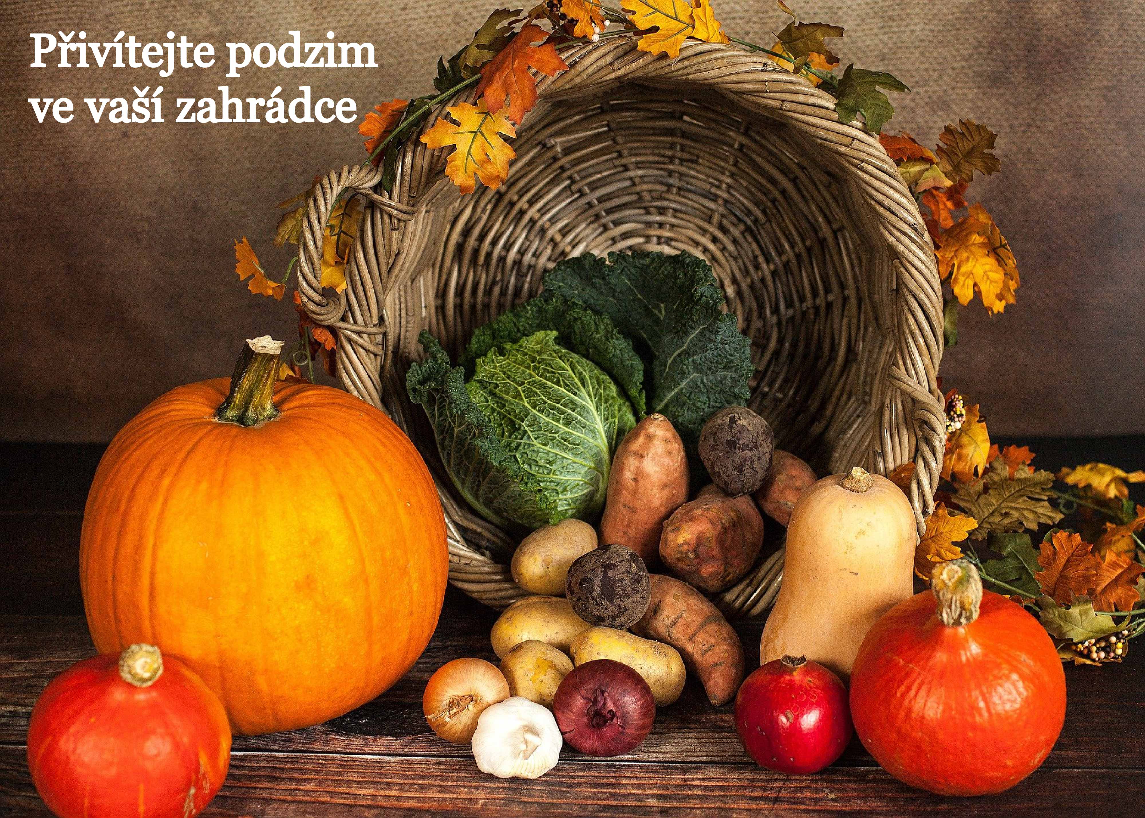 PŘIVÍTEJTE PODZIM