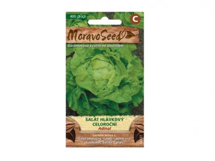 salat adinal