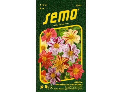 jirinka promenliva fireworks