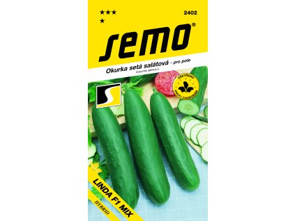 2402 okurka salátová LINDA F1 MIX