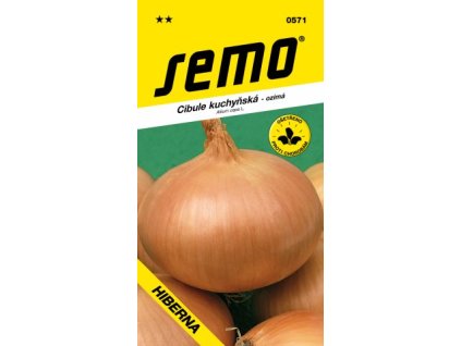 SEMO Cibule kuchyňská - ozimá HIBERNA