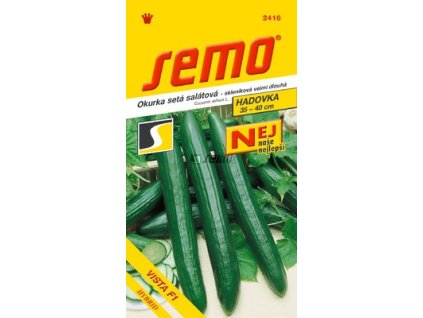 SEMO Okurka setá salátová - skleníková velmi dlouhá VISTA F1