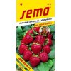 SEMO Jahodník velkoplodý - stáleplodící GRANDIAN F1 pro mlsné jazýčky