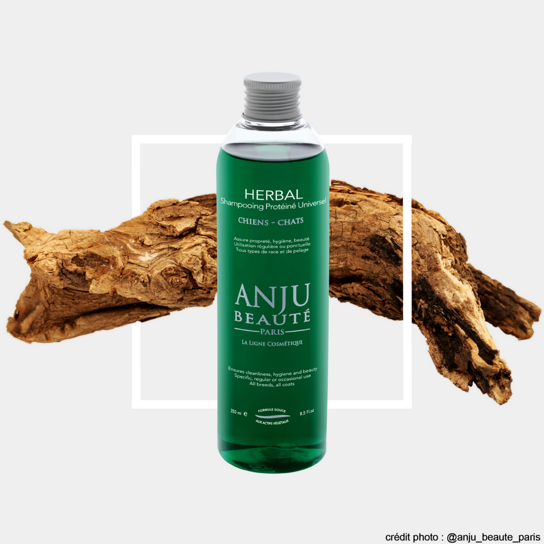 Francouzská kosmetika Anju Beaute