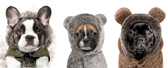 Jak připravit vašeho mazlíčka na chladnější dny