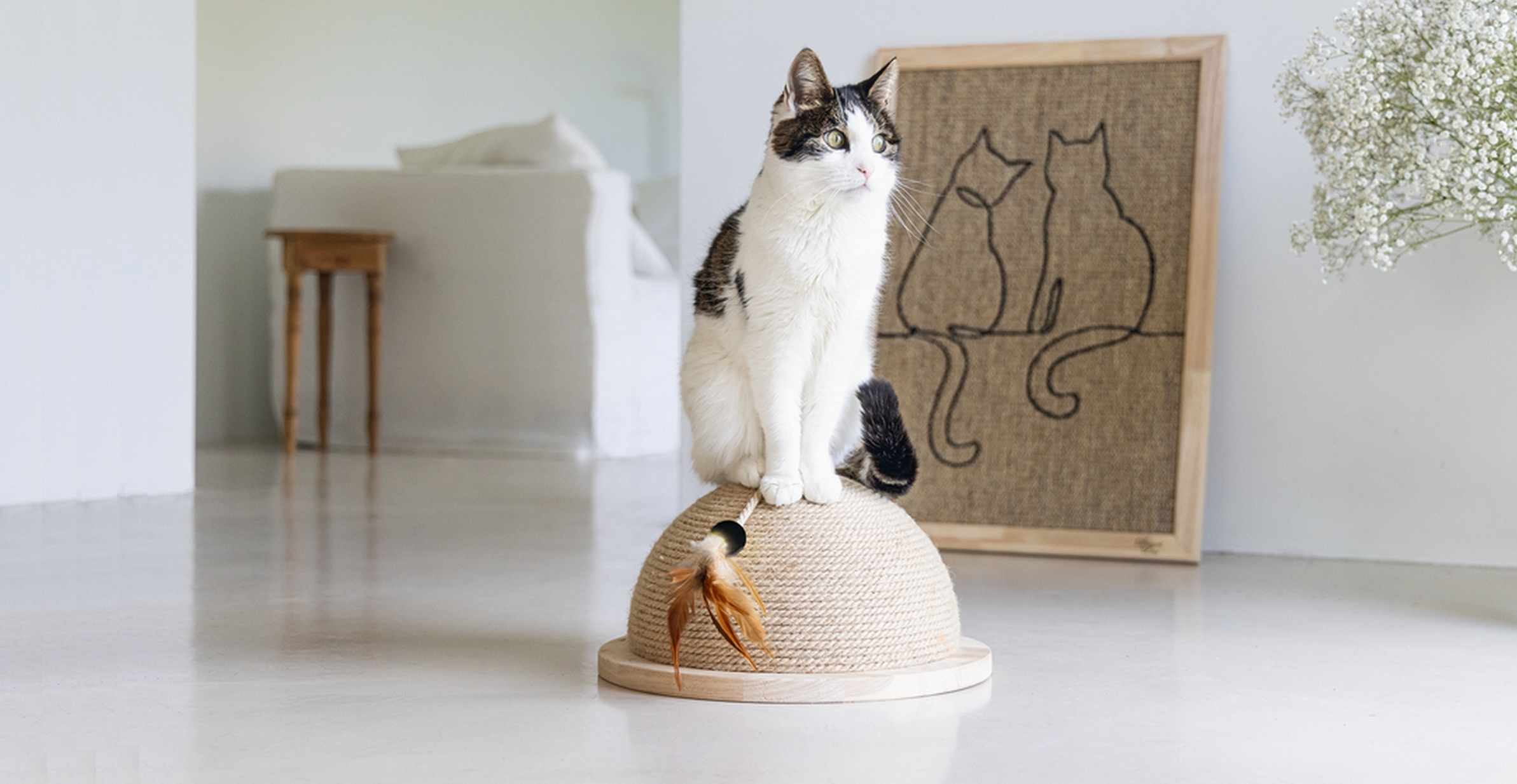 Designová škrabadla, která neomrzí