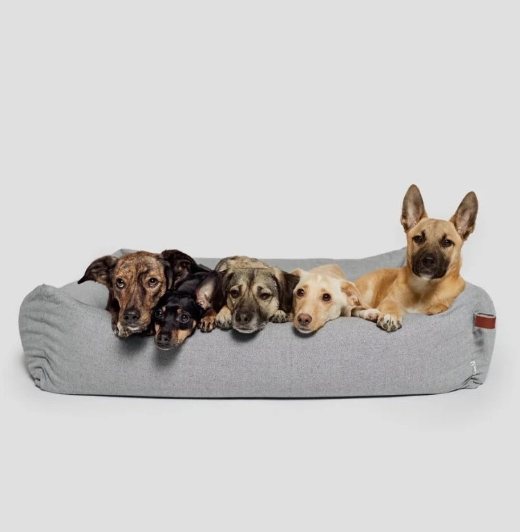 6039-1_cloud7-dog-bed-sleepy-deluxe-tweed-grey-dogs-1-57a8ae76-bc90-43ef-93e4-32e65df6e4dd
