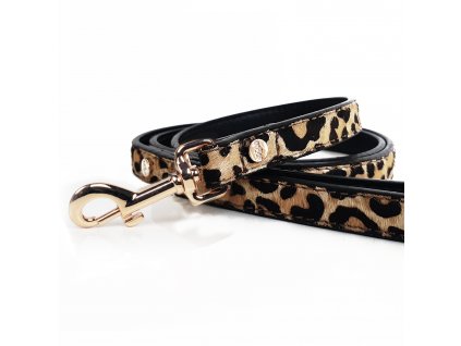 LEOPARD Lead