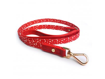 MP4257 APHRODITE Leash 1