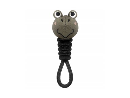 frog toy (1)