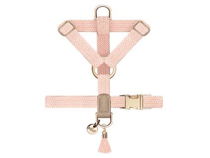 Postroj pro psy Kaya Rose
