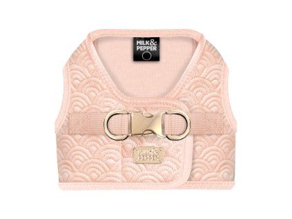 Postroj pro psy Fuji Rose