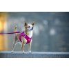 Postroj pro psy a kočky Curli vest Air-Mesh Rush fuchsia