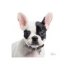 Psí známka MY FAMILY Francouzský buldoček bílý