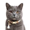 MP4398 OROKO Beige Cat Collar 2