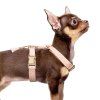 MP4354 KAYA Rose Harnais Straps Dog