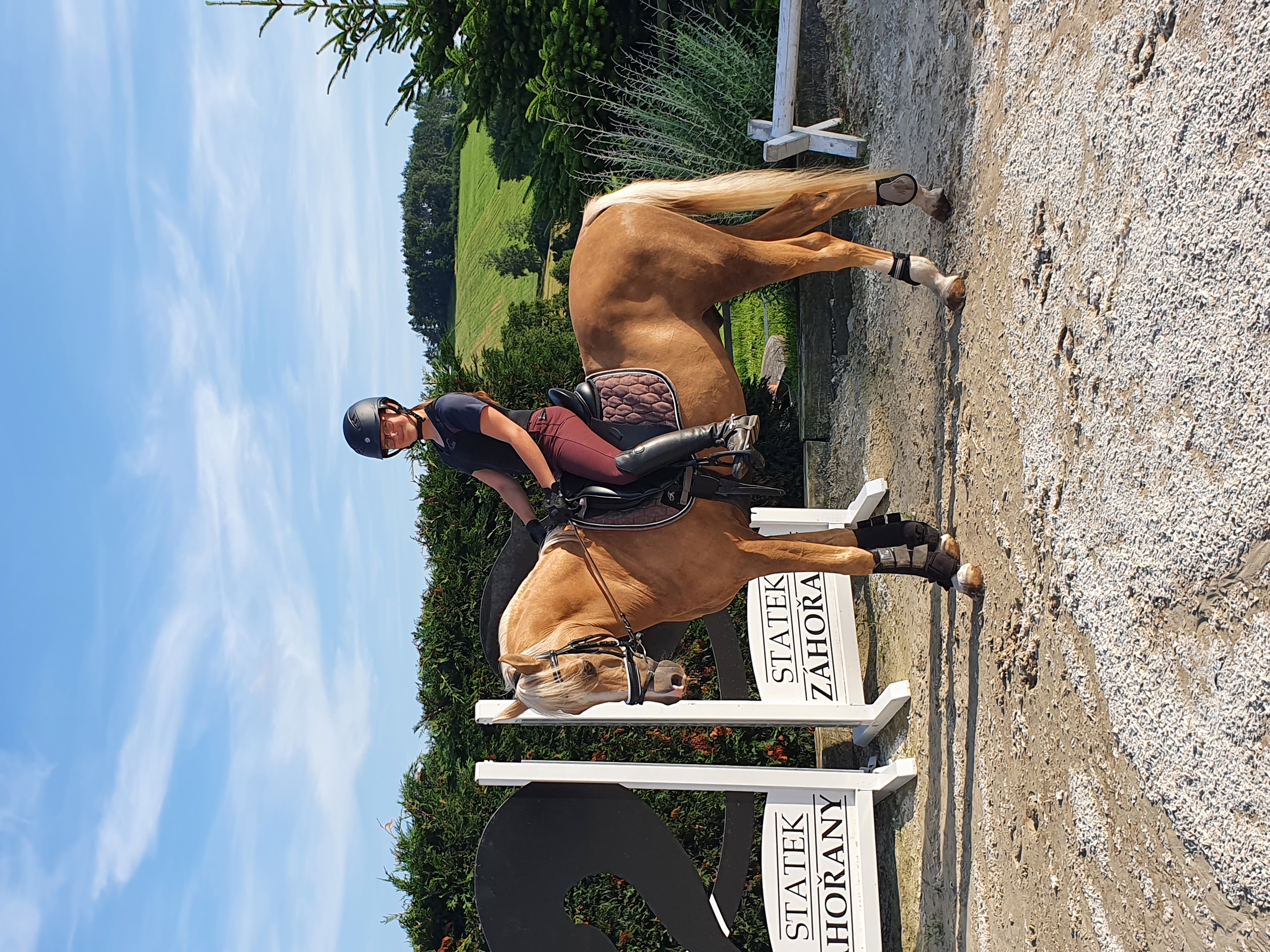 Lordík se představuje