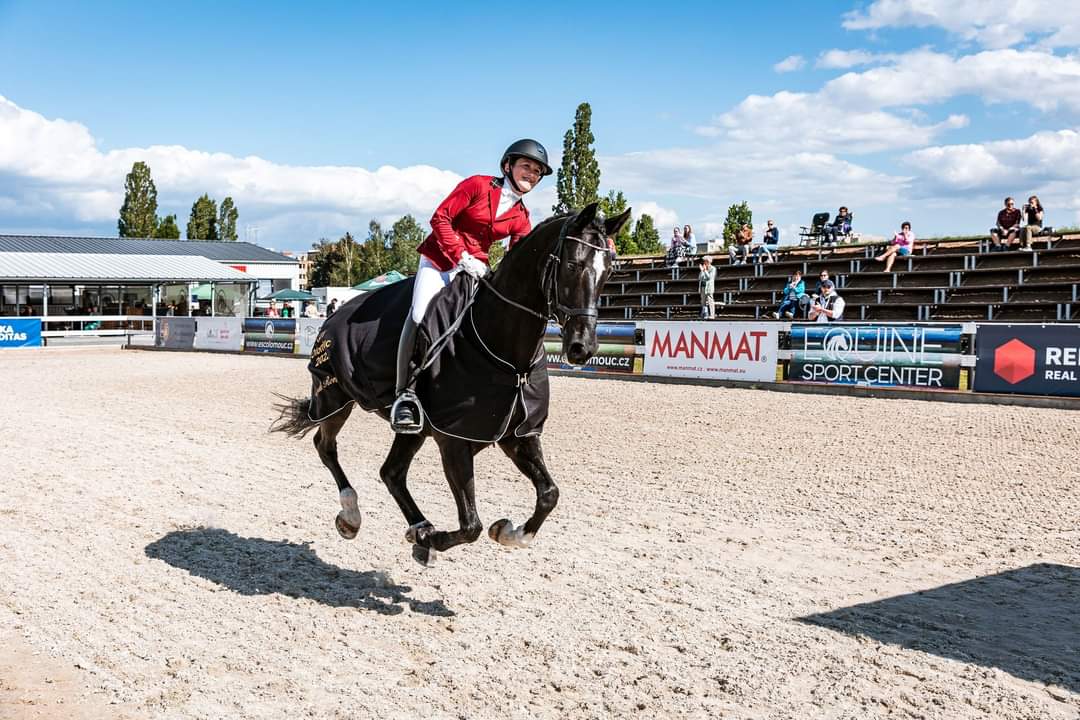 Givesta M.H. alias Vlastička