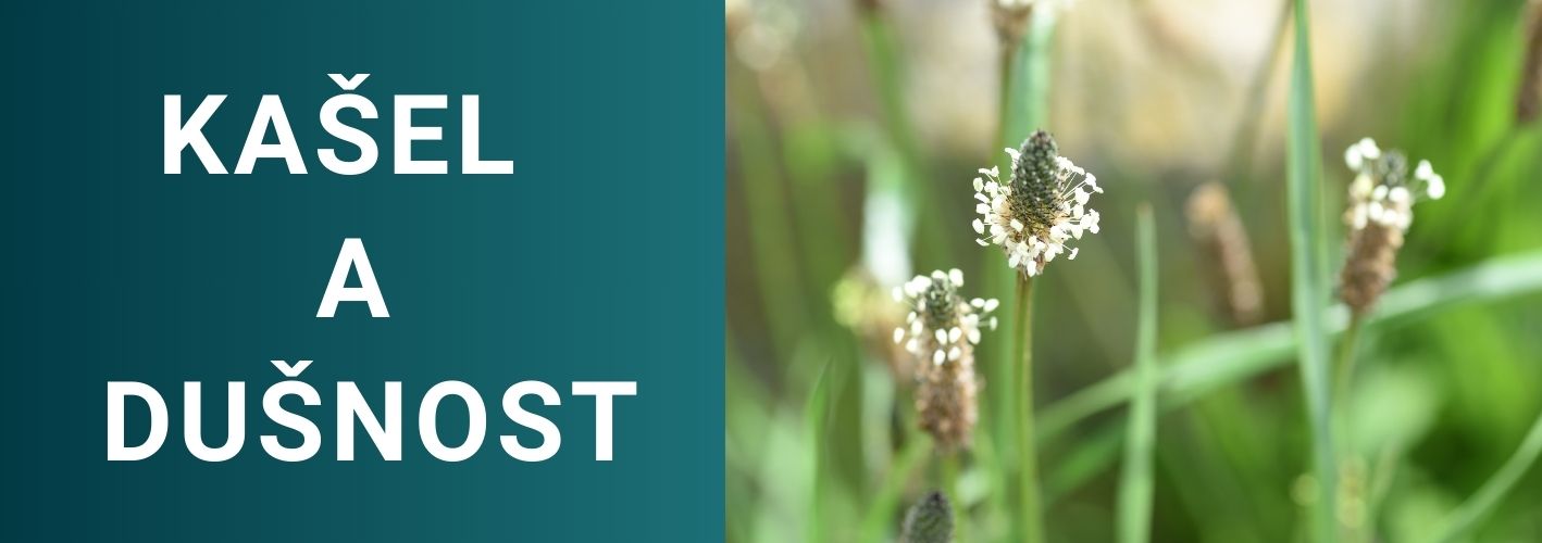 Přípravky na kašel koní, pro podporu dušných koní a podporu dýchání koní na závodech