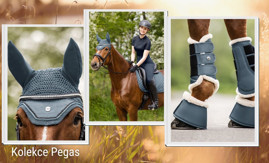 Jezdecké vybavení kolekce Peagasus Waldhausen