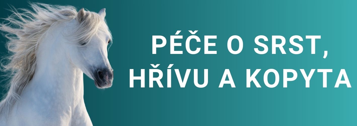 Péče o koně - šampóny, lesky, rozčesávače na hřívu a srst, léčivé masti a gely, mazání na kopyta, repelenty