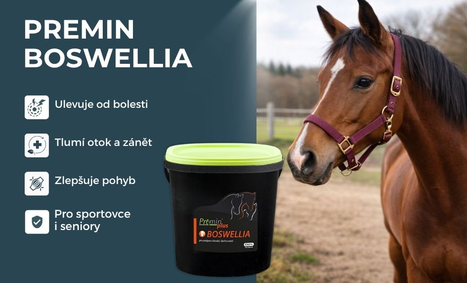 Premin Boswellia kloubní výživa pro koně