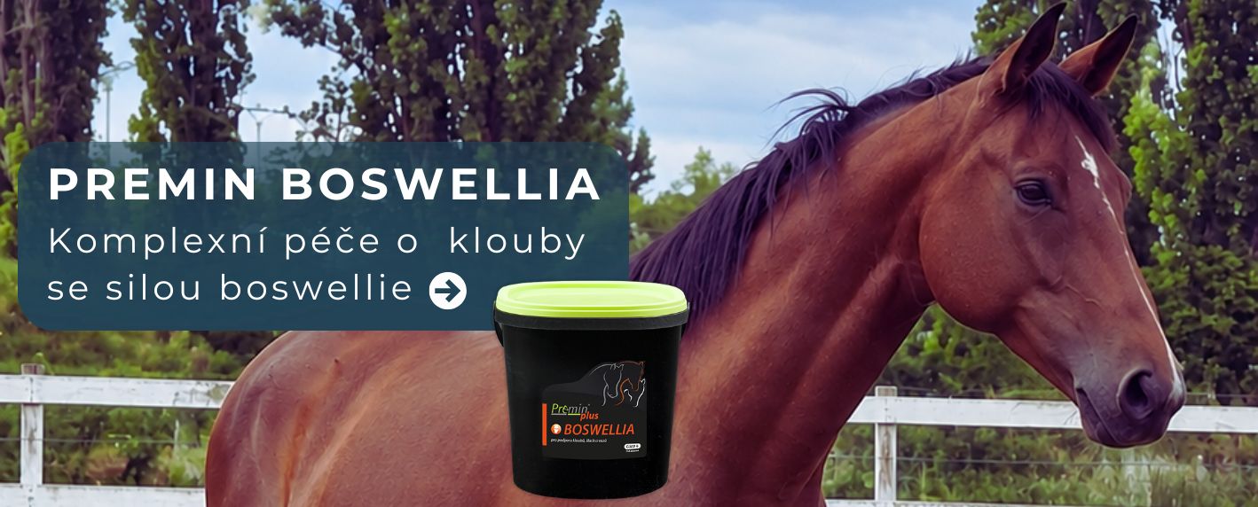 Premin Boswellia kloubní výživa pro koně