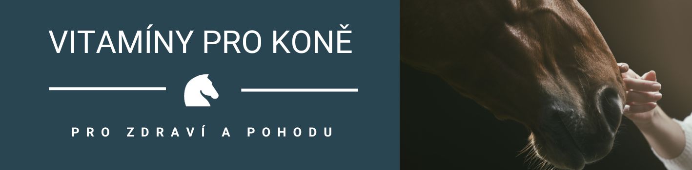 Vitamíny pro koně