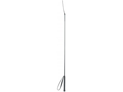 Drezurní bič se šlahounem a plastovou rukojetí, černá, 100 cm