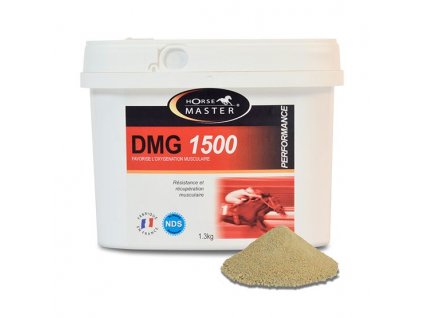 Horse Master DMG 1500 1.30 kg - odbourání kyseliny mléčné