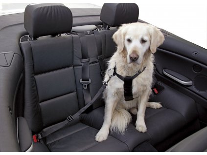 Bezpečnostní postroj pro psy do auta s připínáním, 70 - 90 cm, černý