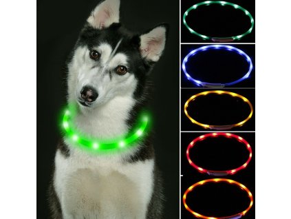 Svítící obojek Easy Light USB dobíjecí 63 cm