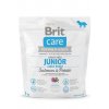 Brit Care Dog Grain-free Junior LB Salmon & Potato