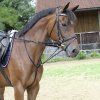 Otěže Covalliero Thiedemann, černá, Pony